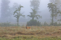 /album/foto-adriano/58a0962-copia-jpg/